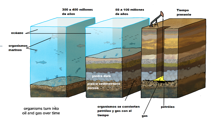 Formación de petróleo a partir de sedimentos de material orgánico