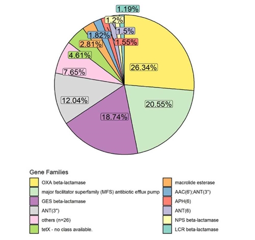 Fig 2 Pie chart of gene family relative abundances