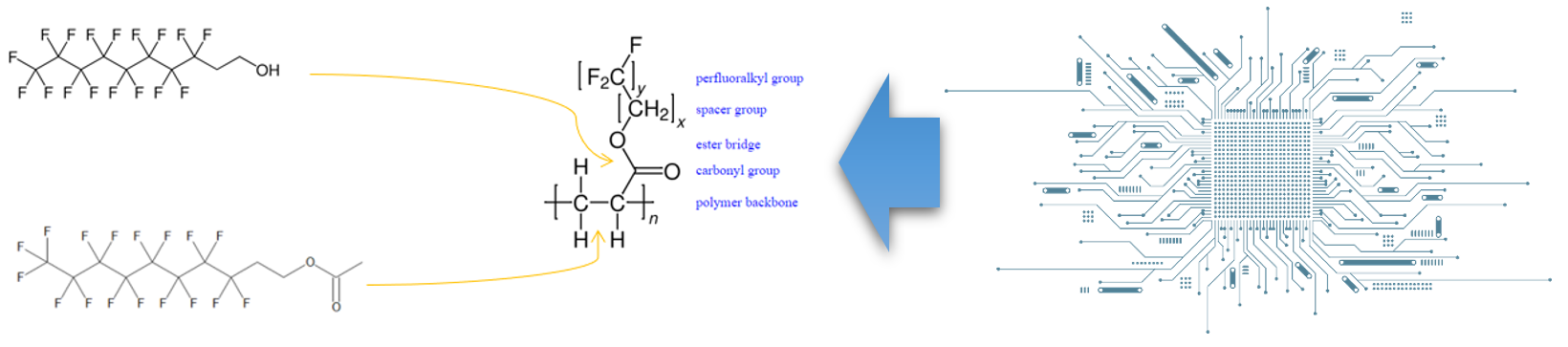 A schematic structure of an SCFP and two potential pathways that may liberate 8:2 FTOH and 8:2 FTOAc